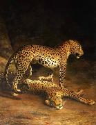Two Leopards Lying in the Exeter